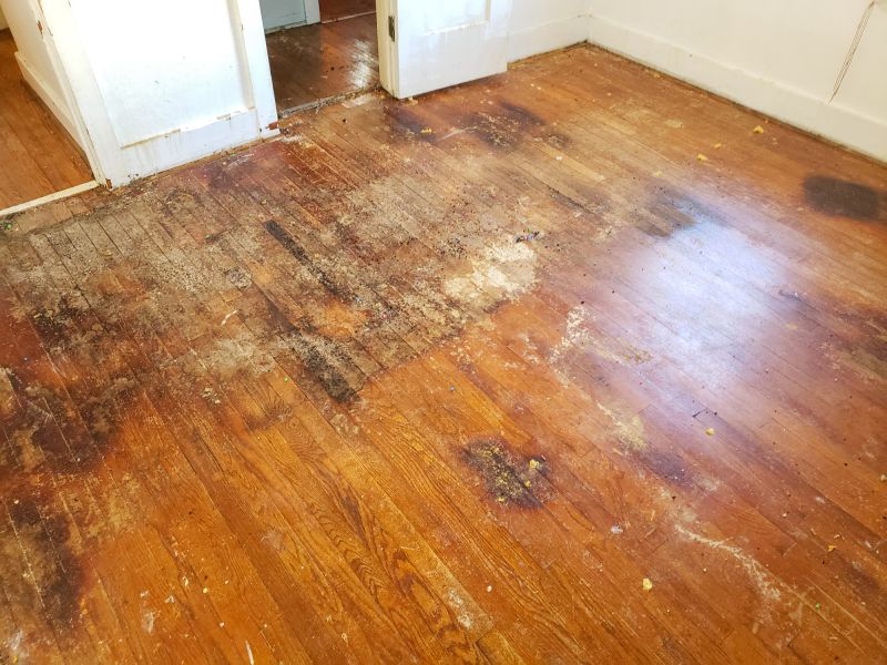 Local Hardwood Floor Staining in Rockford, MI
