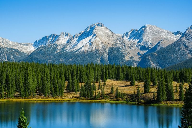 Local Commercial Hardwood Repair in Lafayette, CO