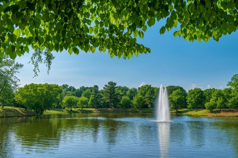 Local Hardwood Floor Installation in Fairview, NC