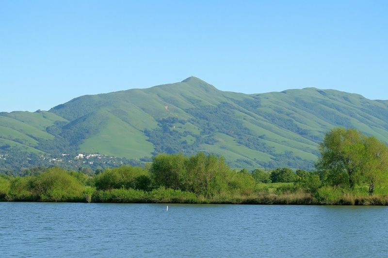 Local Hardwood Floor Installation in Fremont, CA