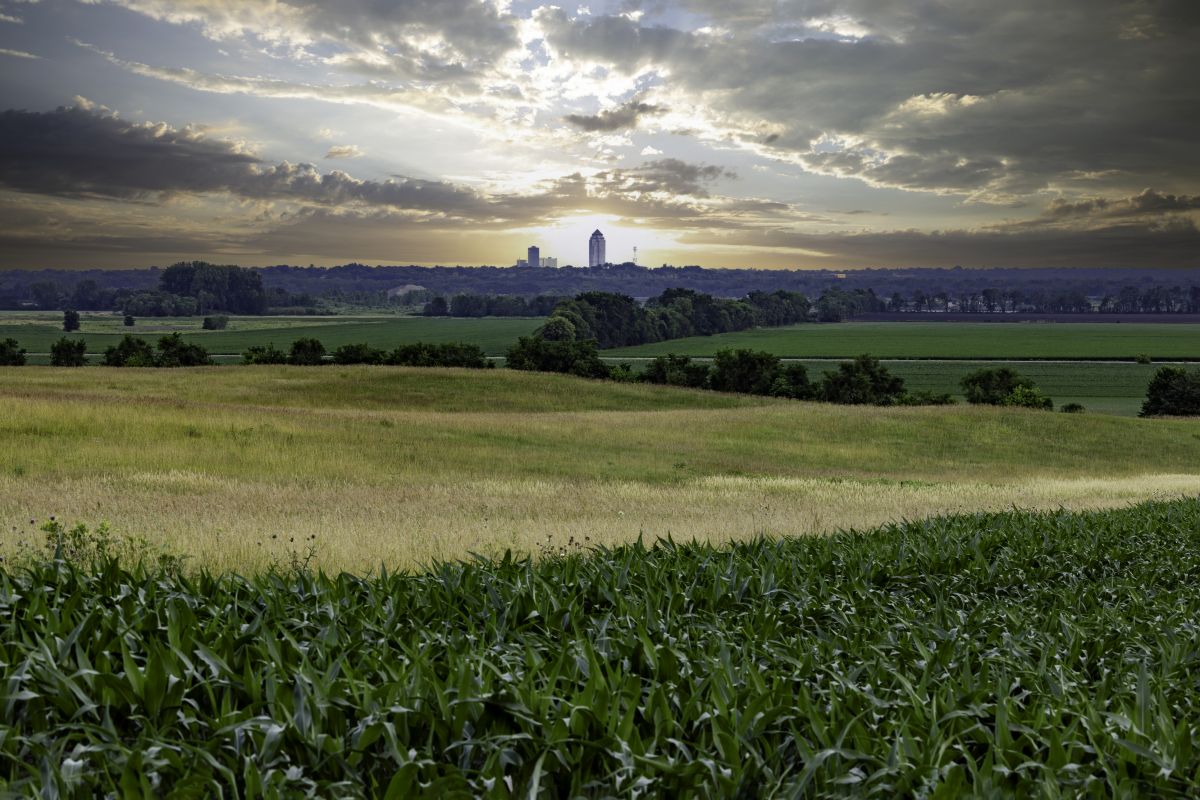 Local Hardwood Floor Installation in West Des Moines, IA