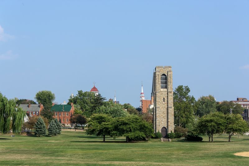Local Hardwood Floor Installation in Frederick, MD