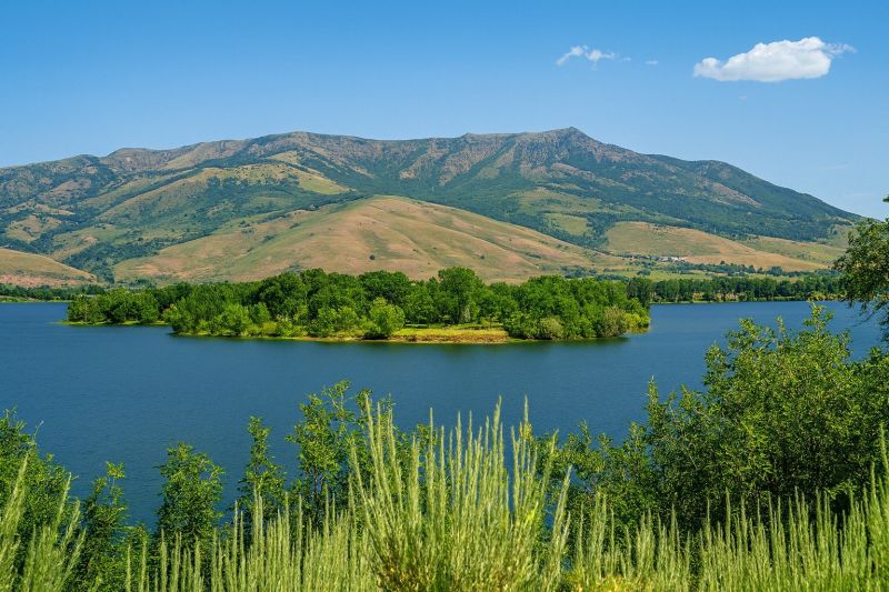 Local Hardwood Floor Renovation in Eden, UT