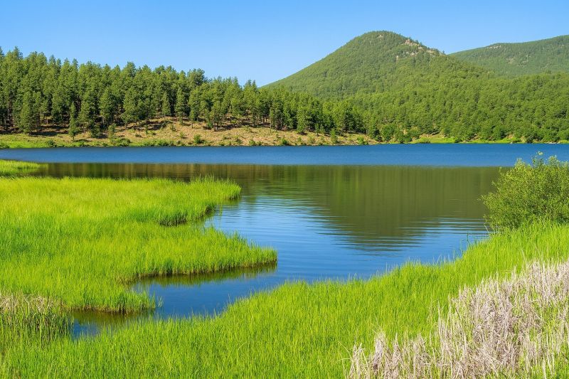 Local Hardwood Floor Renovation in Evergreen, CO