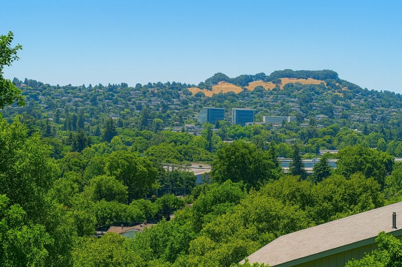 Local Hardwood Floor Renovation in Castro Valley, CA