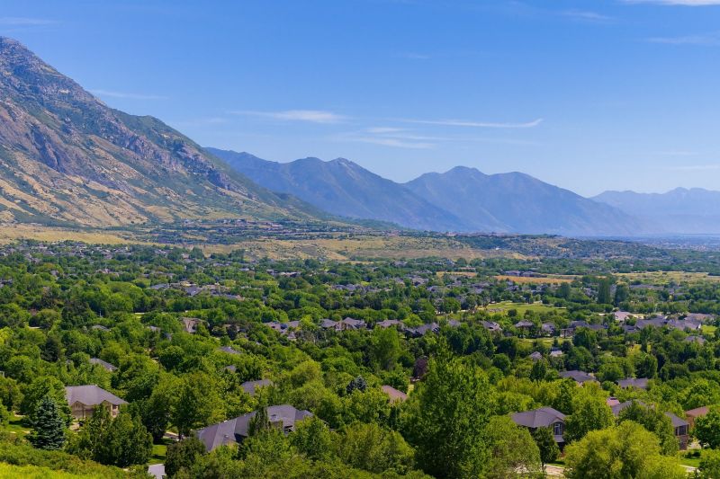 Local Hardwood Replacement in Alpine, UT