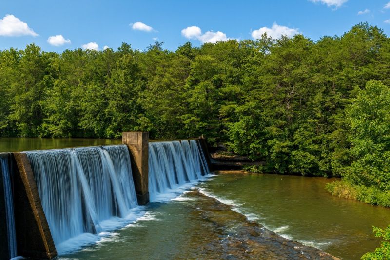 Local Hardwood Replacement in Clarkesville, GA