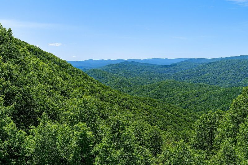 Local Hardwood Replacement in Ellijay, GA