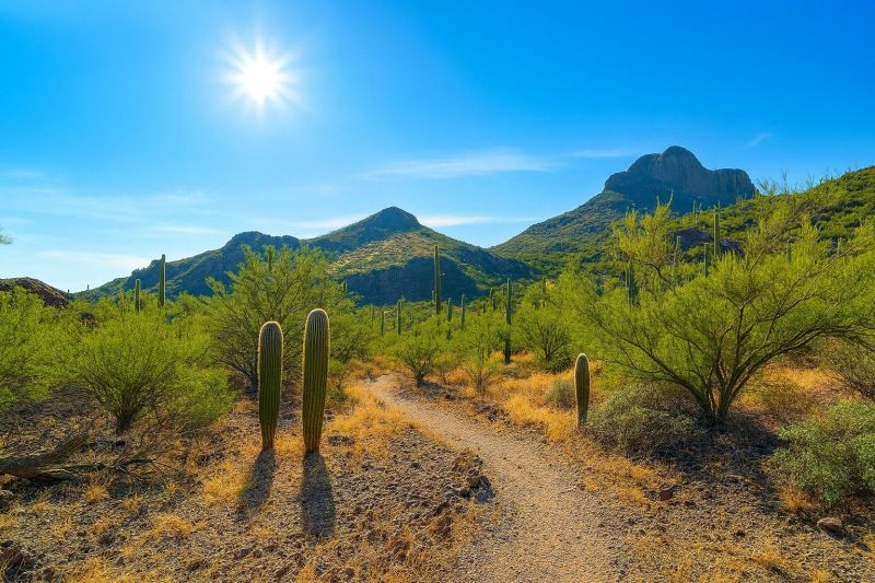 Local Hardwood Replacement in Marana, AZ