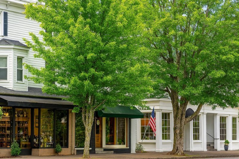Local Hardwood Replacement in Ridgefield, WA