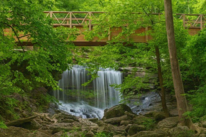 Local Hardwood Replacement in Bella Vista, AR