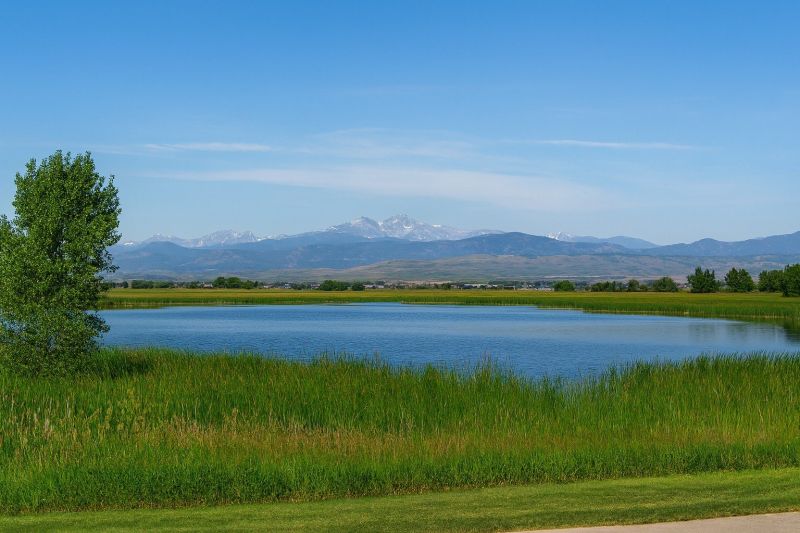 Local Hardwood Replacement in Timnath, CO