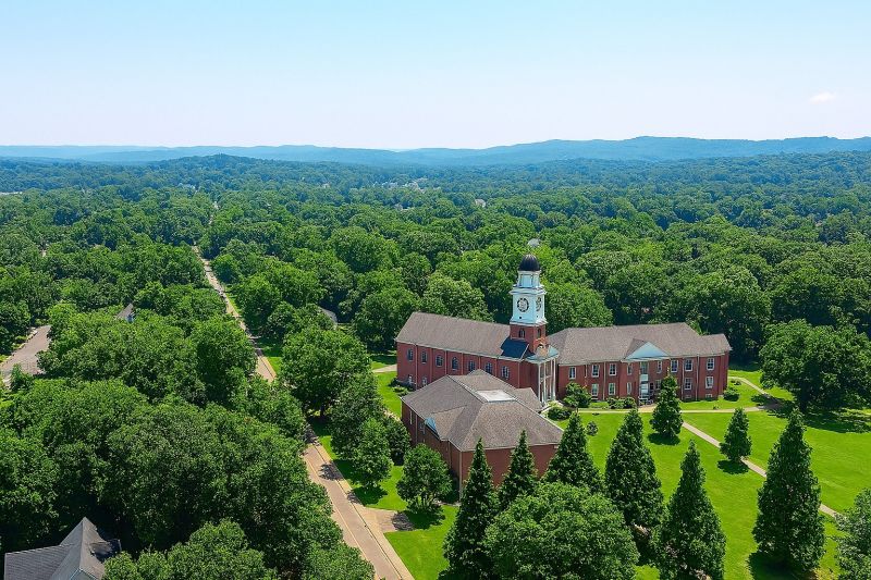 Local Hardwood Replacement in Cleveland, TN