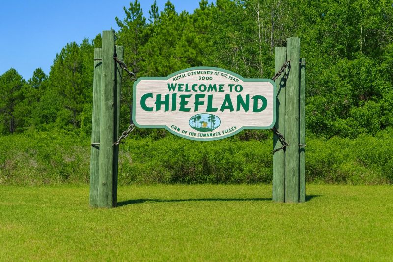 Local Hardwood Replacement in Chiefland, FL