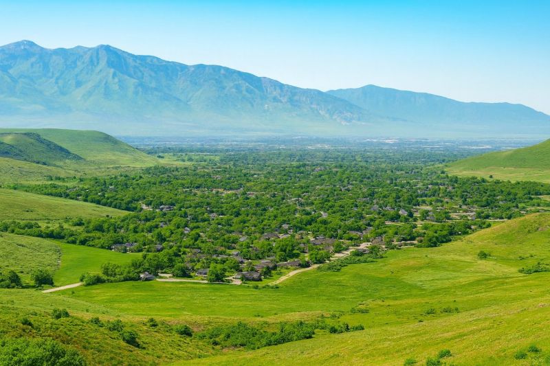 Local Hardwood Replacement in Santaquin, UT