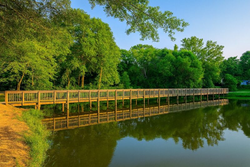 Local Hardwood Replacement in Davidson, NC