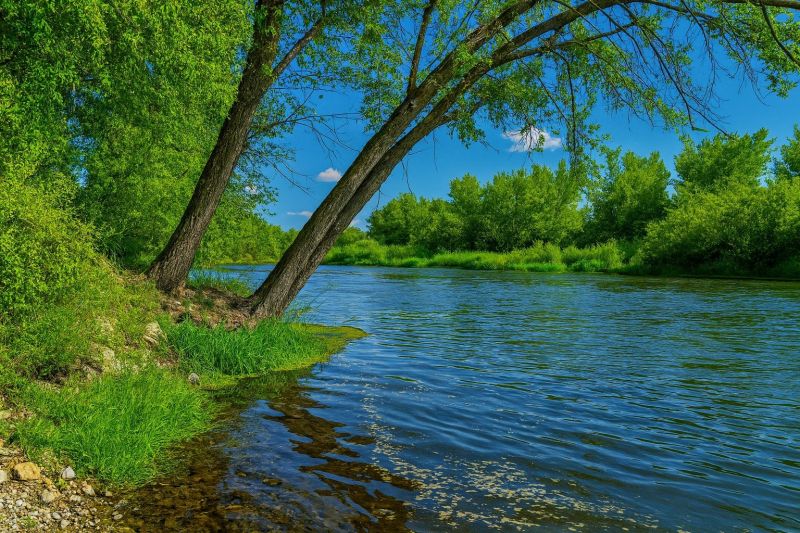 Local Hickory Floor Installation in Middleton, ID