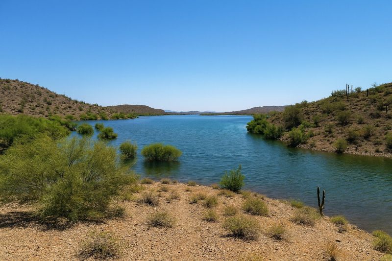 Local Hickory Floor Installation in New River, AZ