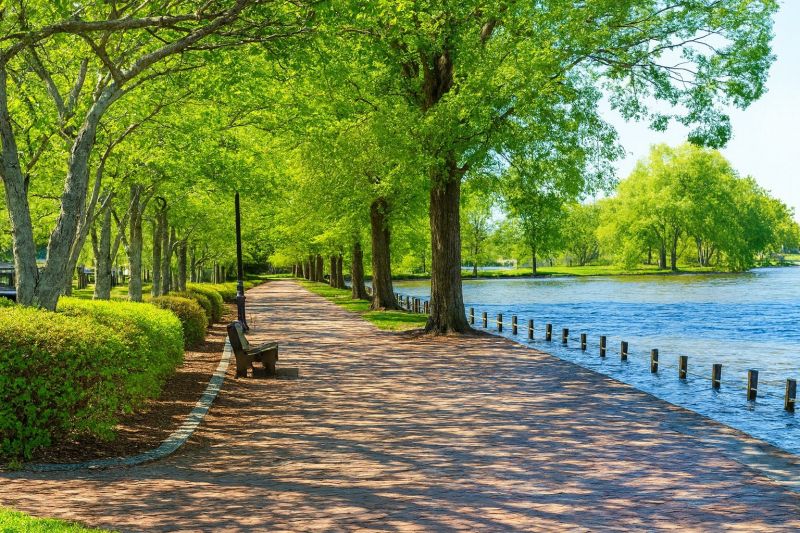 Local Hickory Floor Installation in Locust Grove, VA
