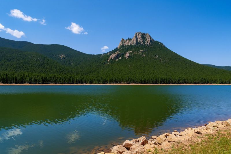 Local Maple Flooring Installation in Wellington, CO