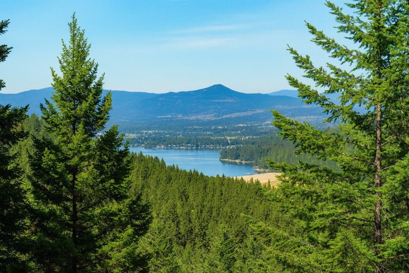 Local Maple Flooring Installation in Liberty Lake, WA
