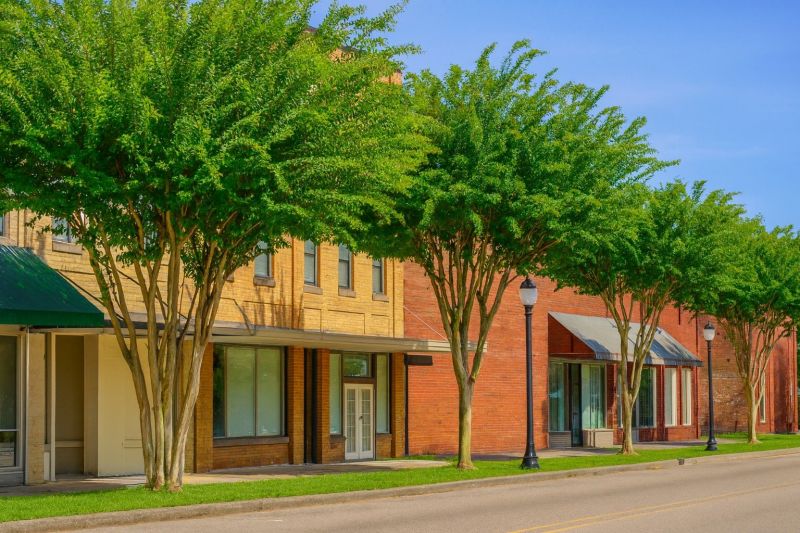 Local Oak Floor Installation in Chipley, FL