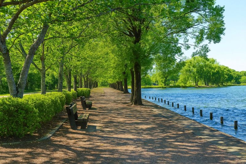 Local Tiger Wood Floor Installation in High Ridge, MO