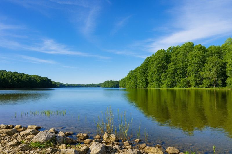 Local Walnut Flooring Installation in Burke, VA