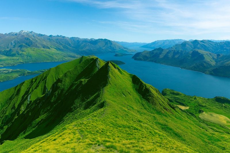 Local White Oak Floor Installation in Roy, UT