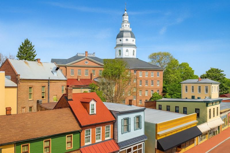 Local Wide Plank Floor Installation in Hampstead, MD