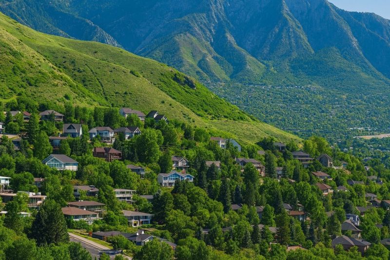 Local Wide Plank Floor Installation in Farmington, UT