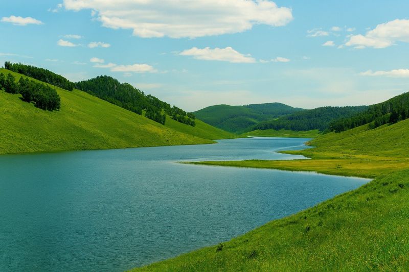 Local Wide Plank Floor Installation in Fairview, UT