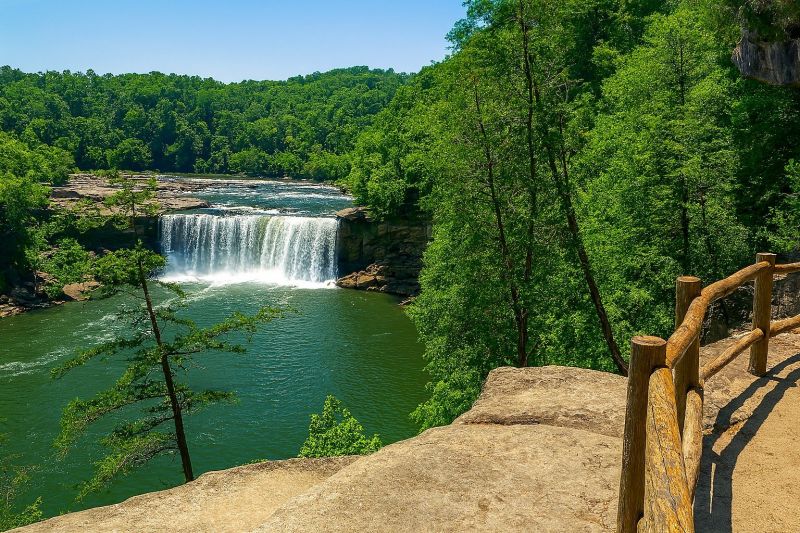 Local Wide Plank Floor Installation in Corbin, KY