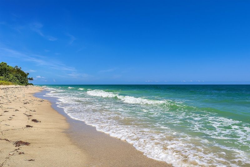 Local Wood Flooring Installation in Dunedin, FL