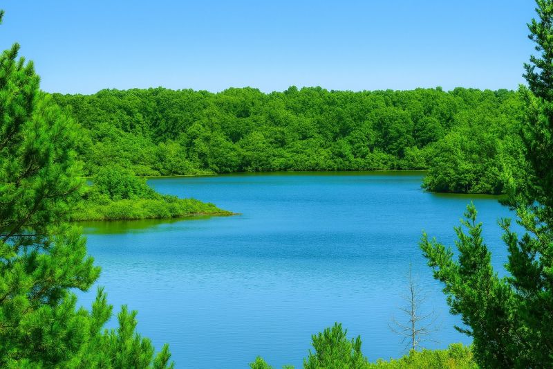 Local Wood Flooring Installation in Egg Harbor Township, NJ